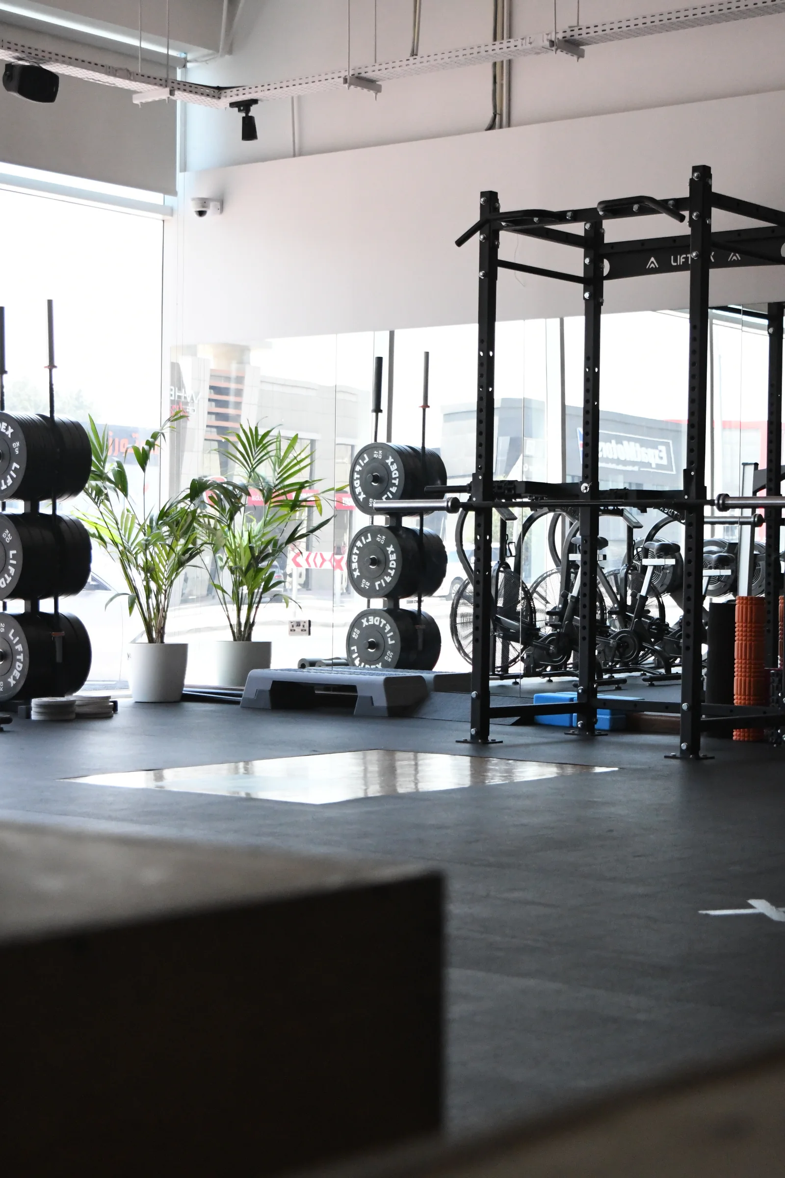 Lucky's Gym main floor with power racks, weight tree and functional area